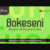 Bokeseni Bold Expanded Italic Font