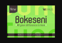 Bokeseni ExtraLight Expanded Font Poster 1