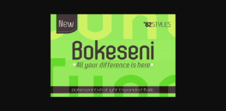 Bokeseni ExtraLight Expanded Italic Font Poster 1