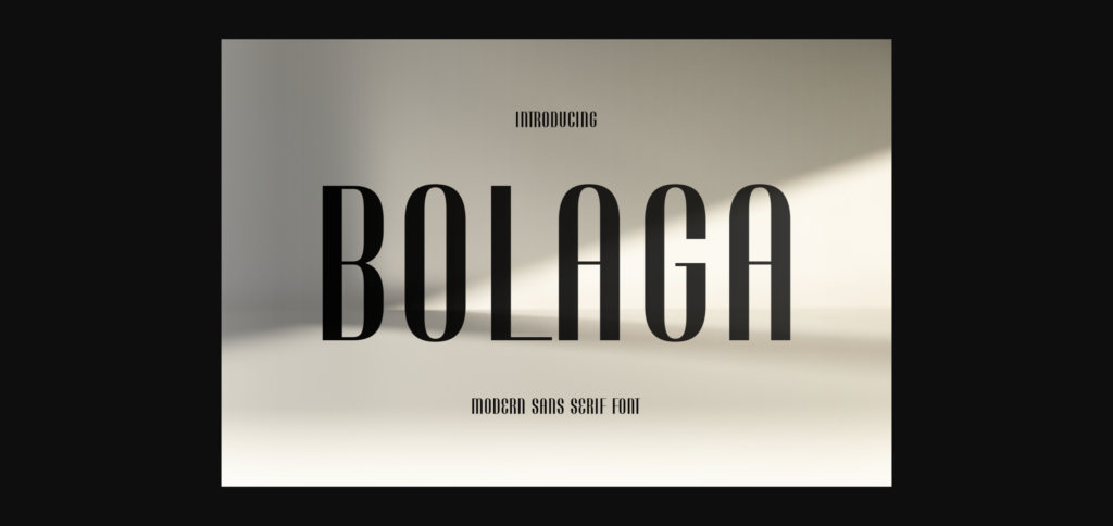 Bolaga Font Poster 1