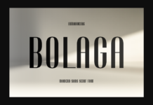 Bolaga Font Poster 1