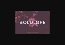 Boldlope Font Poster 1