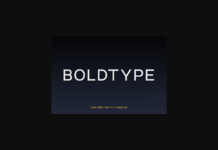 Boldtype Font Poster 1