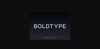 Boldtype Font Poster 1