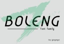 Boleng Font Poster 1