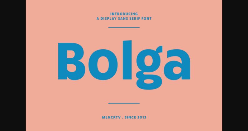 Bolga Font Poster 3