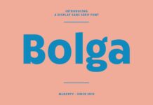 Bolga Font Poster 1