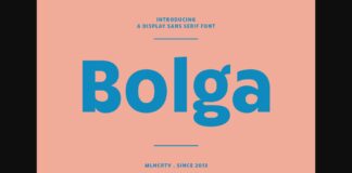 Bolga Font Poster 1