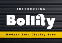 Bollity Font Poster 1