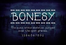 Bonesy Font Poster 1