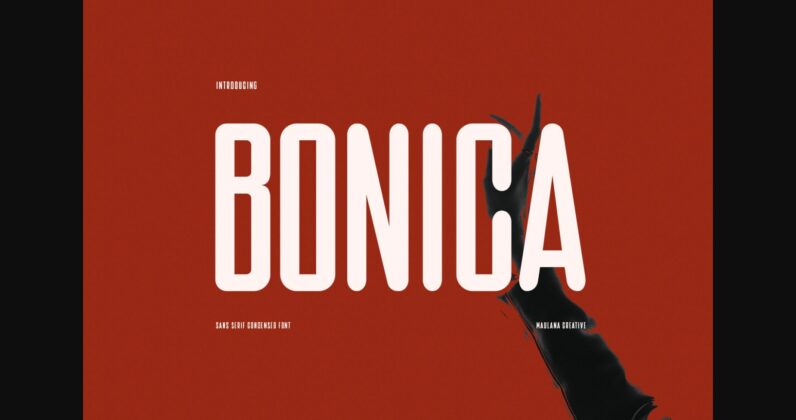Bonica Font Poster 3
