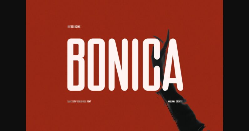 Bonica Font Poster 3