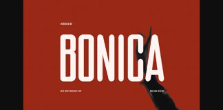 Bonica Font Poster 1