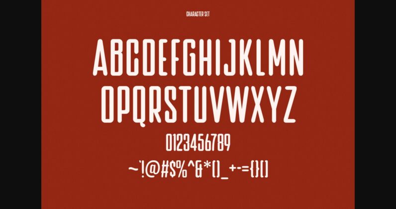 Bonica Font Poster 10