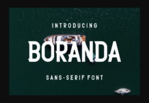 Boranda Font Poster 1