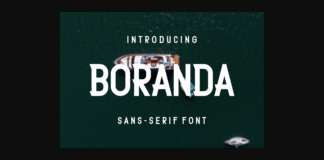 Boranda Font Poster 1