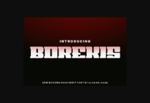 Borekis Font Poster 1