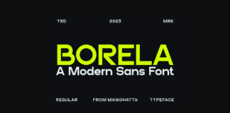 Borela Font Poster 1