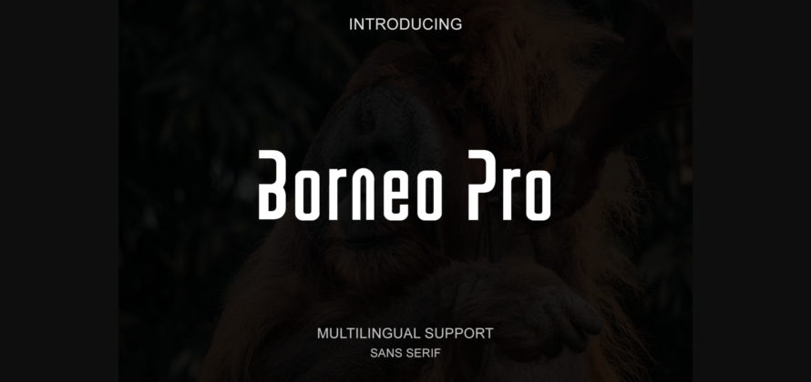 Borneo Pro Font Poster 3