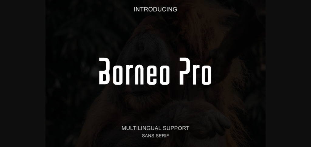 Borneo Pro Font Poster 1