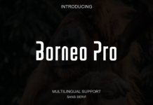 Borneo Pro Font Poster 1