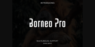 Borneo Pro Font Poster 1