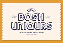 Bosh Uniqurs Font Poster 1