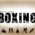 Boxing Font