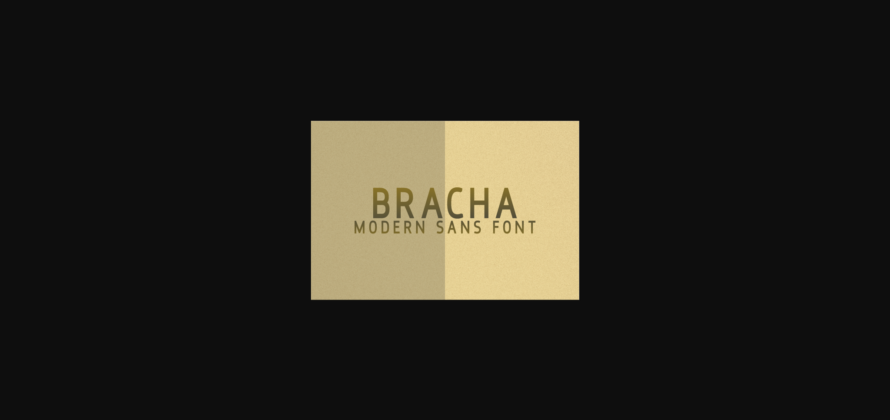 Bracha Font Poster 3