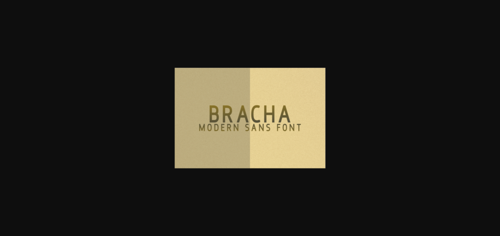 Bracha Font Poster 1