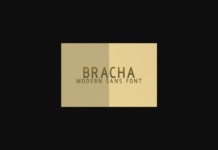 Bracha Font Poster 1