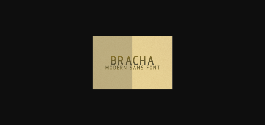 Bracha Font Poster 1