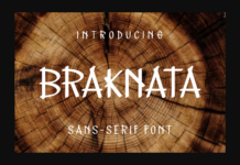 Braknata Font Poster 1