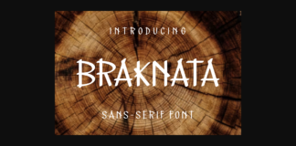 Braknata Font Poster 1