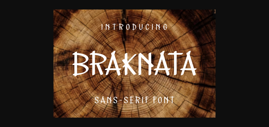 Braknata Font Poster 1