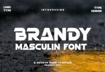 Brandy Font Poster 1