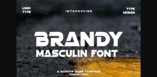 Brandy Font Poster 1