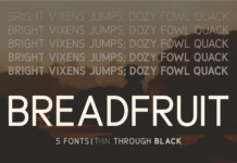 Breadfruit Font Poster 1