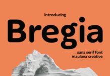 Bregia Font Poster 1