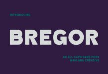 Bregor Font Poster 1