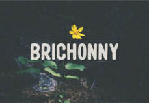 Brichonny Font Poster 1