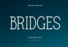 Bridges Poster 1