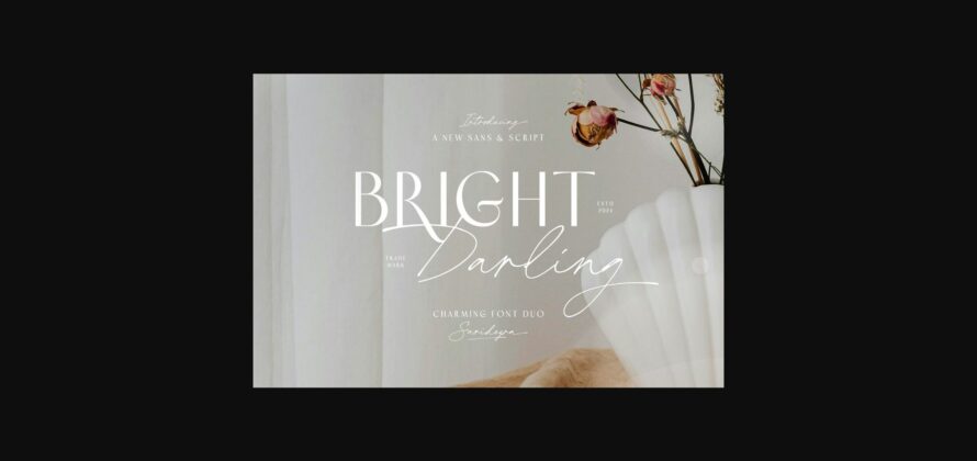 Bright Darling Duo Font Poster 3