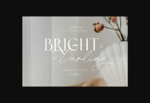 Bright Darling Duo Font Poster 1