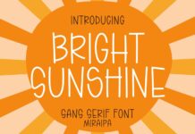 Bright Sunshine Font Poster 1