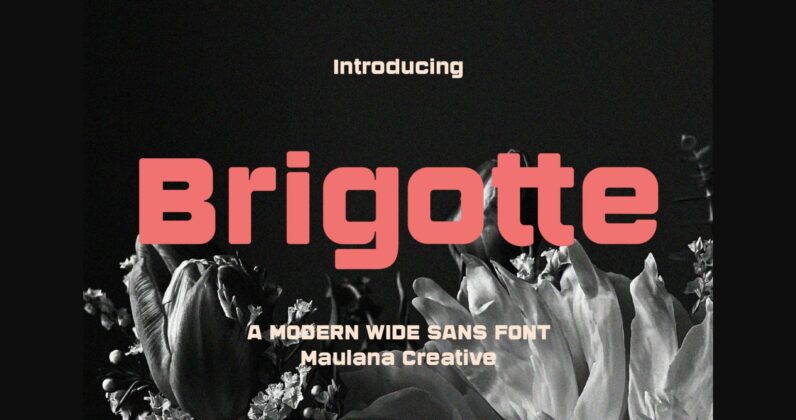 Brigotte Font Poster 3