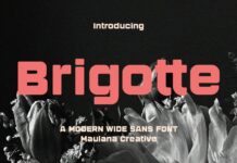 Brigotte Font Poster 1