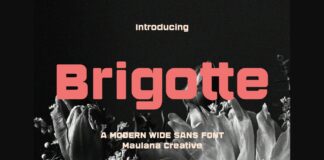 Brigotte Font Poster 1