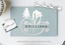 Brilliana Monogram Font Poster 1