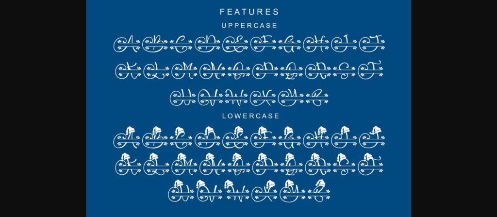 Brilliana Monogram Font Poster 9